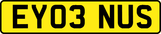 EY03NUS