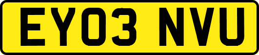 EY03NVU
