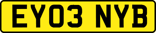 EY03NYB