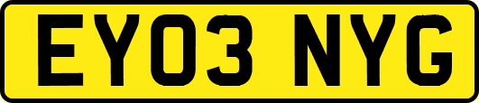EY03NYG