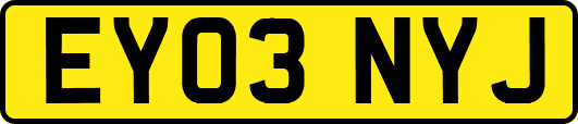 EY03NYJ