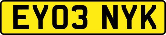 EY03NYK