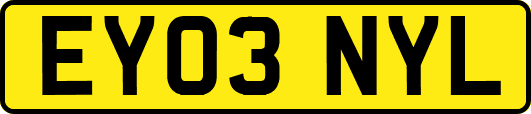EY03NYL