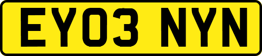 EY03NYN
