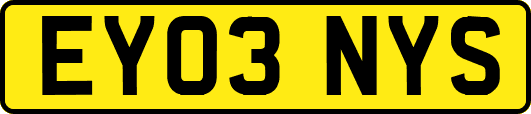EY03NYS