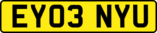 EY03NYU