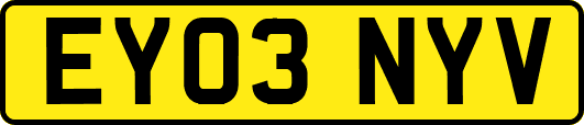 EY03NYV