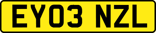 EY03NZL