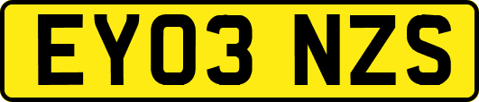 EY03NZS