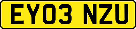 EY03NZU
