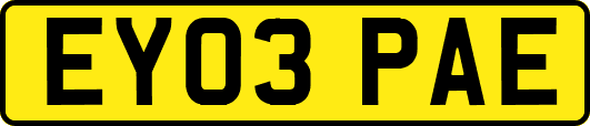 EY03PAE