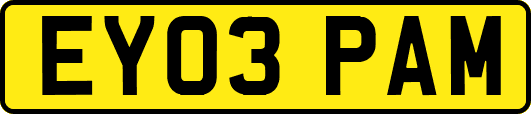 EY03PAM