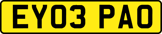 EY03PAO