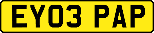 EY03PAP