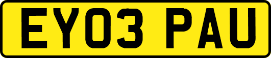 EY03PAU