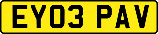EY03PAV