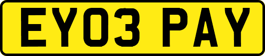 EY03PAY