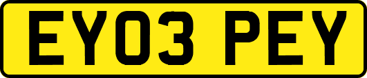 EY03PEY