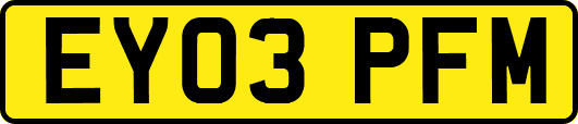 EY03PFM