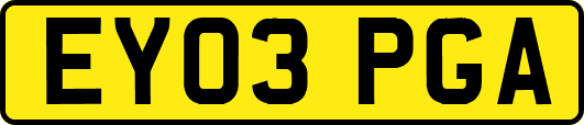 EY03PGA