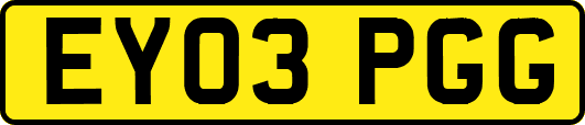 EY03PGG