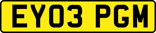 EY03PGM