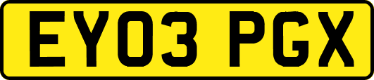 EY03PGX