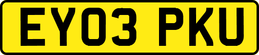 EY03PKU