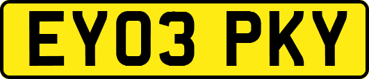 EY03PKY