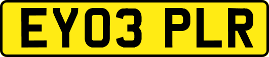 EY03PLR
