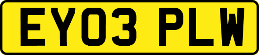 EY03PLW