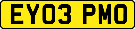 EY03PMO