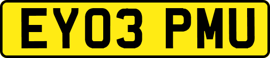 EY03PMU