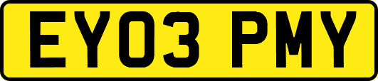 EY03PMY