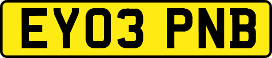 EY03PNB