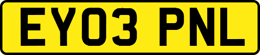 EY03PNL