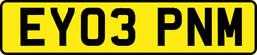 EY03PNM