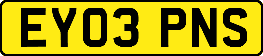 EY03PNS