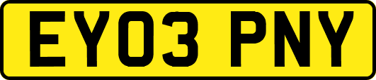 EY03PNY
