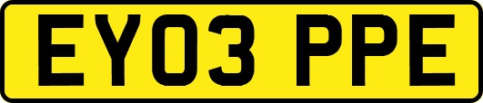 EY03PPE