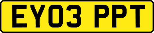 EY03PPT