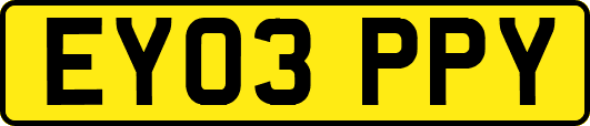 EY03PPY