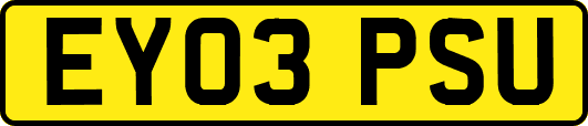 EY03PSU