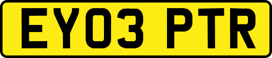 EY03PTR