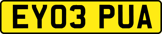 EY03PUA