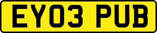 EY03PUB