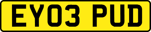 EY03PUD