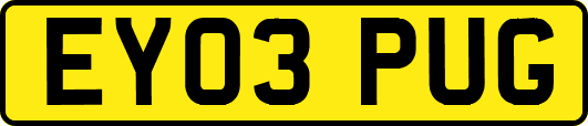 EY03PUG