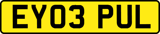 EY03PUL