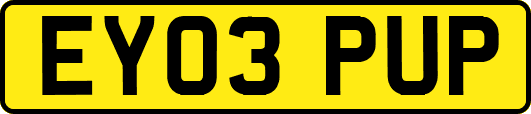EY03PUP